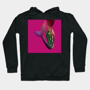 Mermaid tail in multicolours on pink. Hoodie